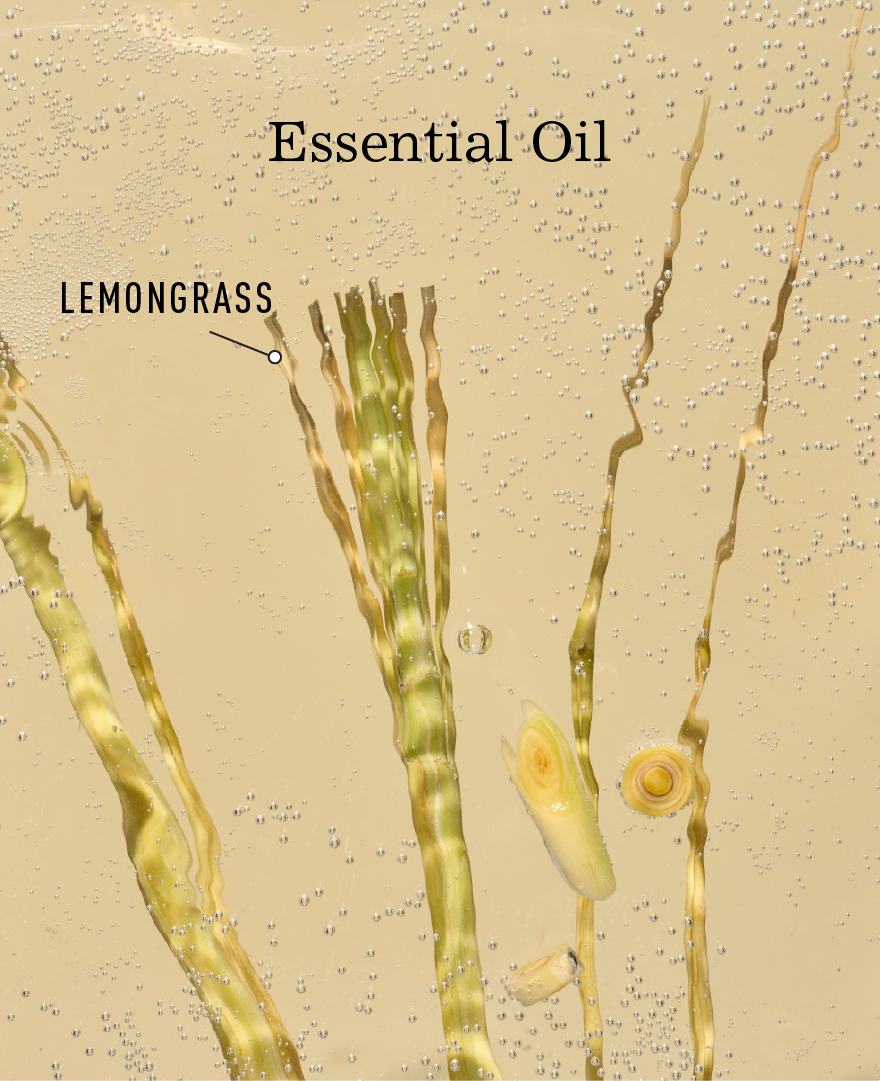 Lemongrass & Green Tea Bar Soap