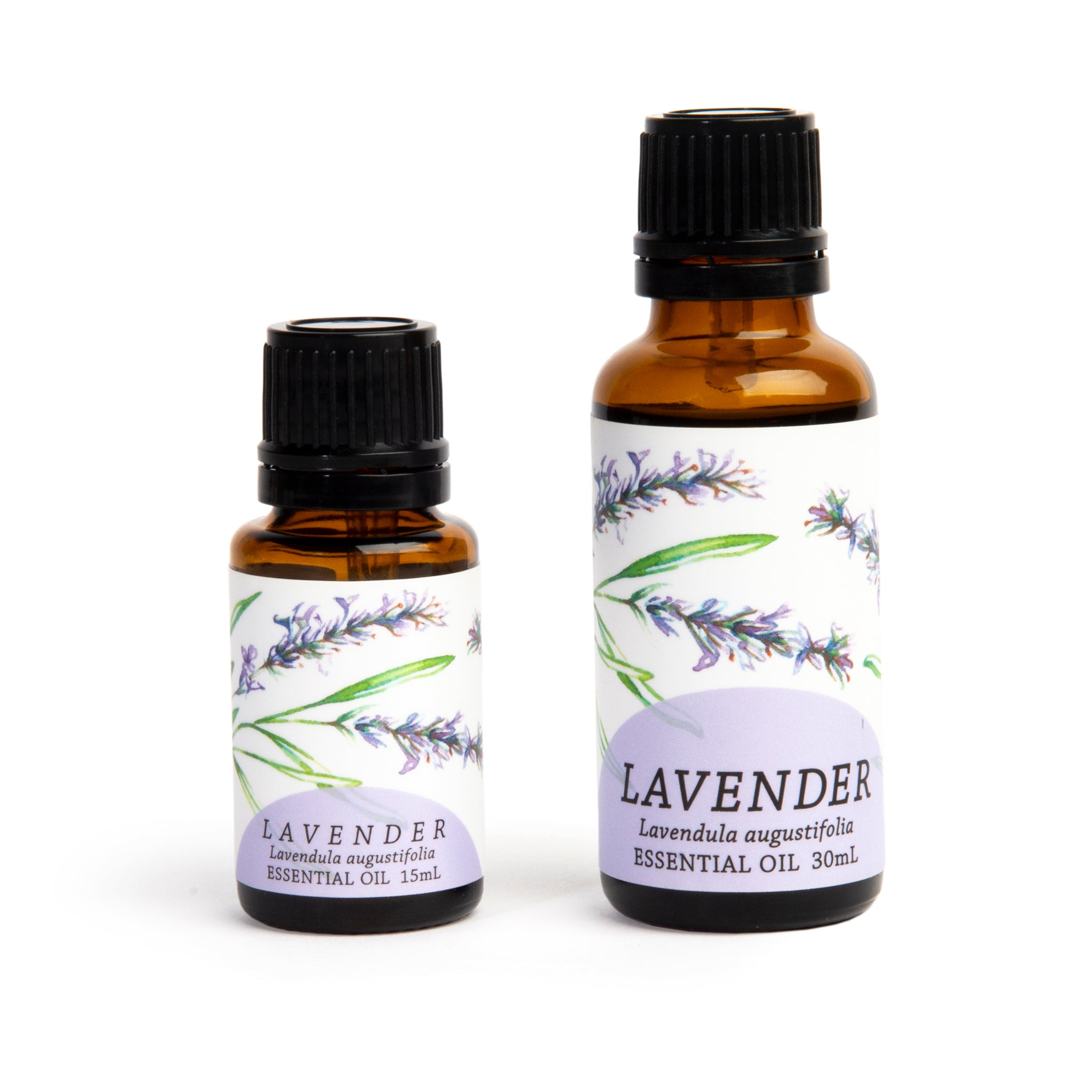 Lavender (Lavandula angustifolia) Essential Oil