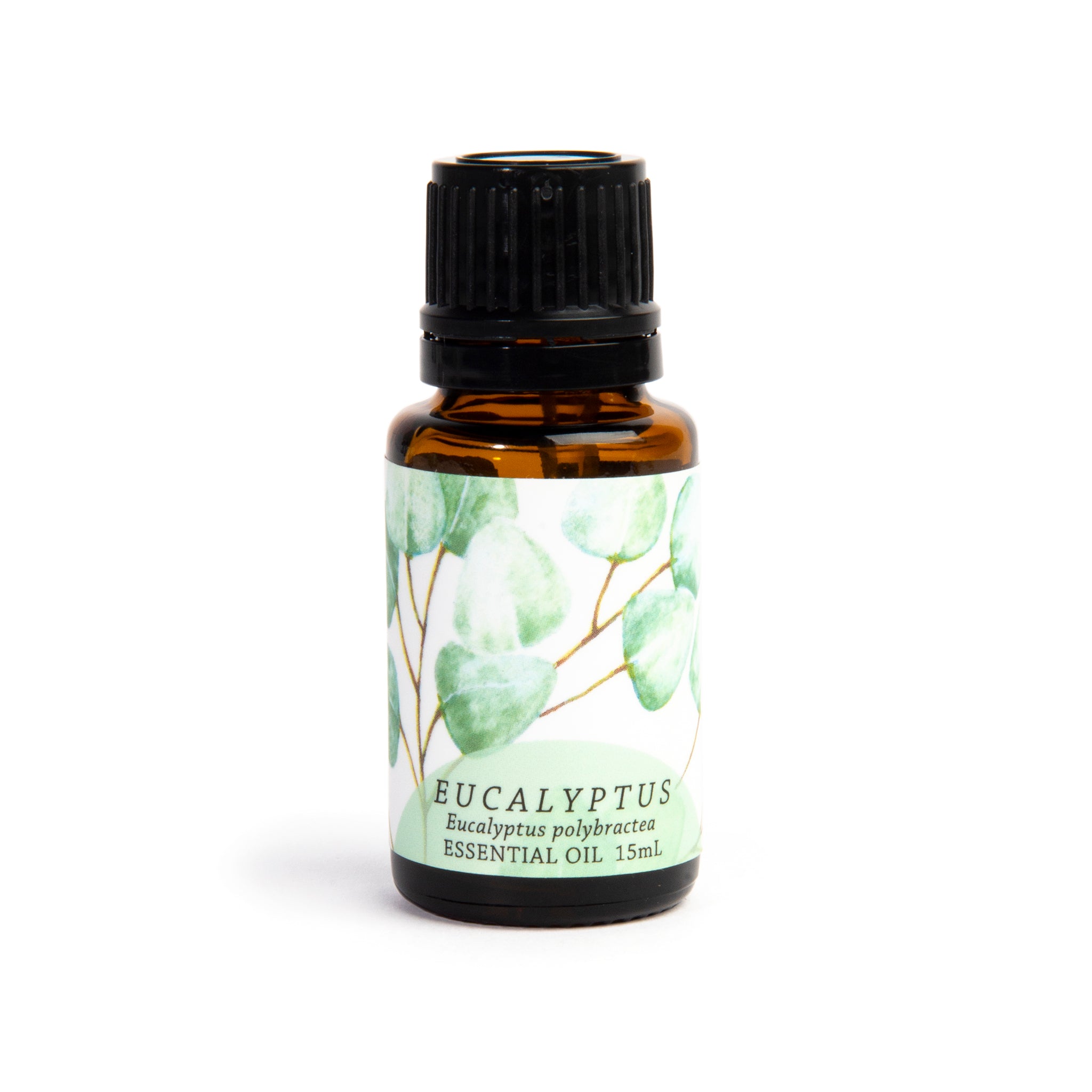 Organic Eucalyptus (Eucalyptus polybractea) Essential Oil