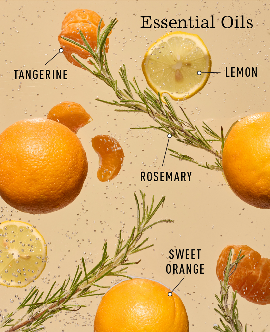 Rosemary Citrus Foaming Hand Soap