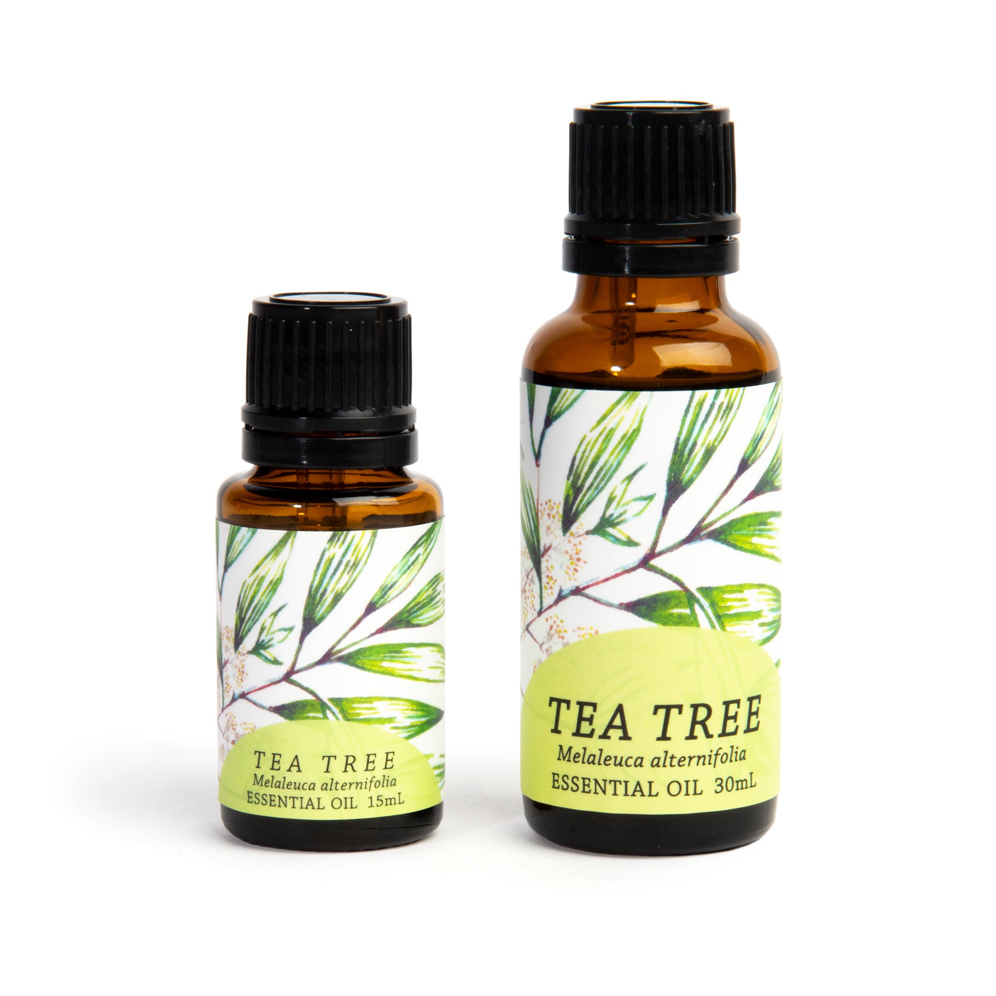 Tea Tree (Melaleuca alternifolia) Essential Oil