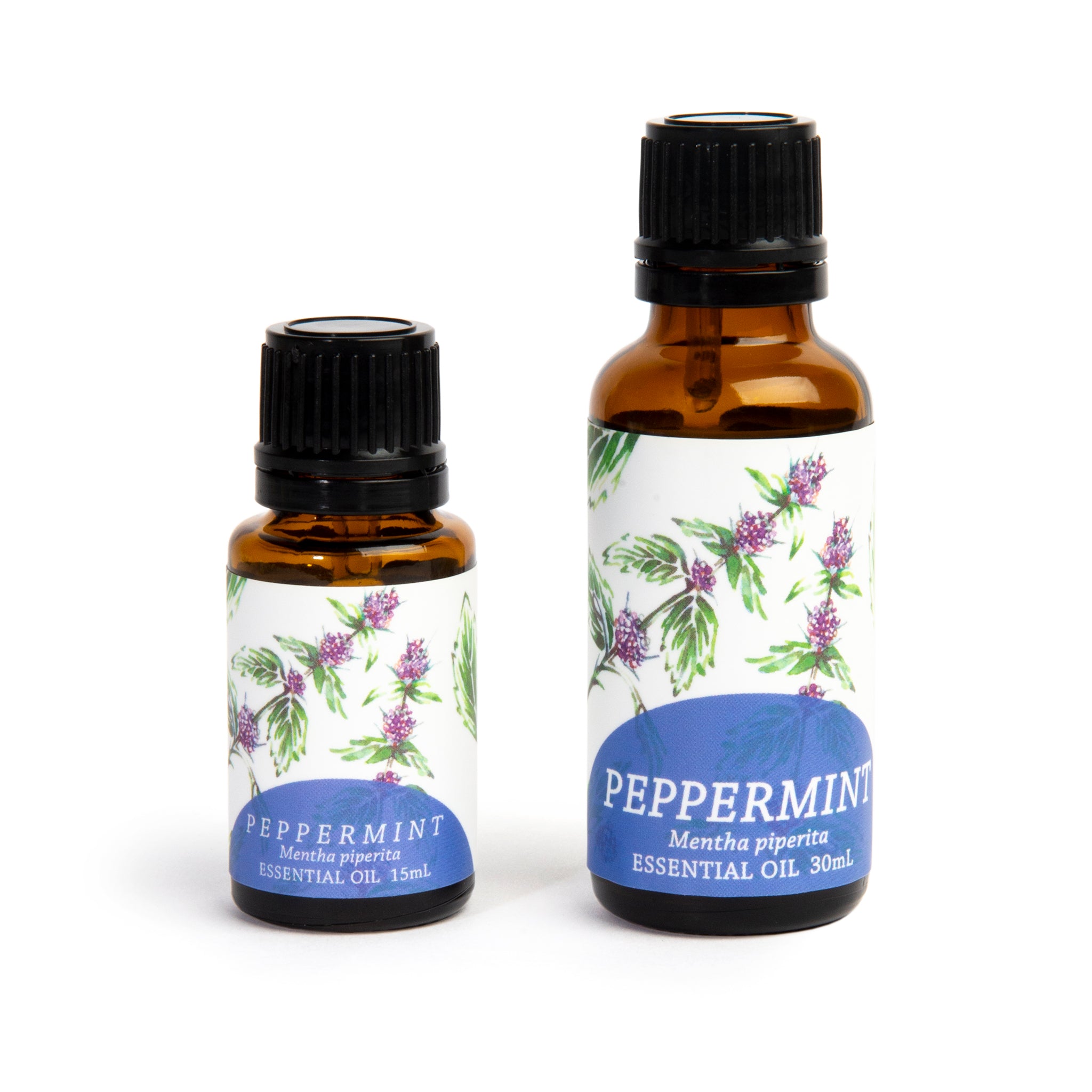 Peppermint (Mentha x piperita) Essential Oil