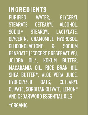 Body Lotion