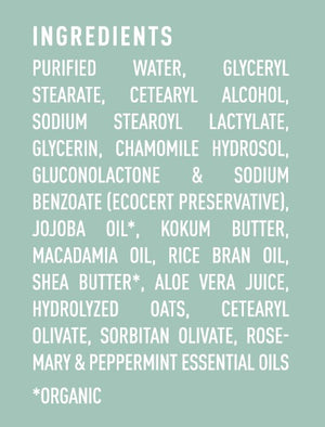Body Lotion