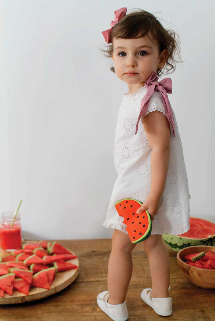 Watermelon Bath Toy